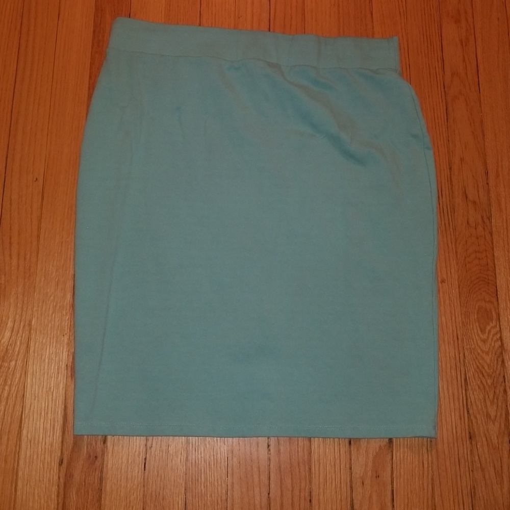 Stetch Skirt Size 1x